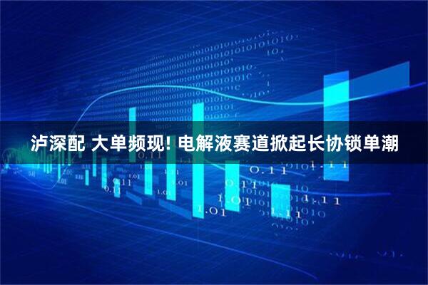泸深配 大单频现! 电解液赛道掀起长协锁单潮